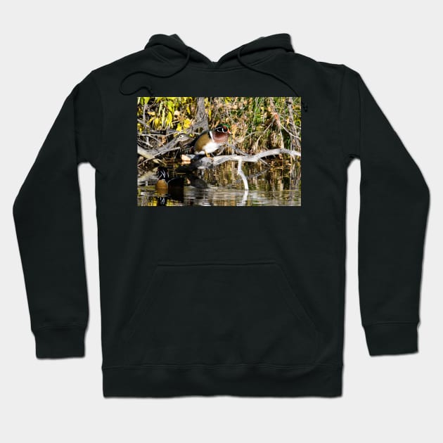 At the Pond Hoodie by gdb2